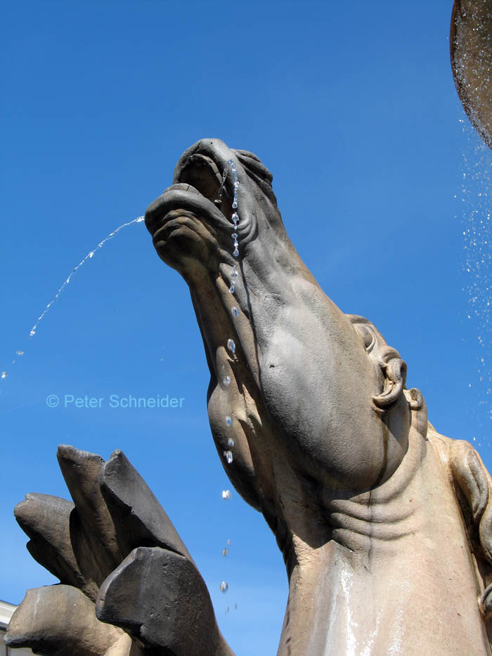 Brunnen, Detail