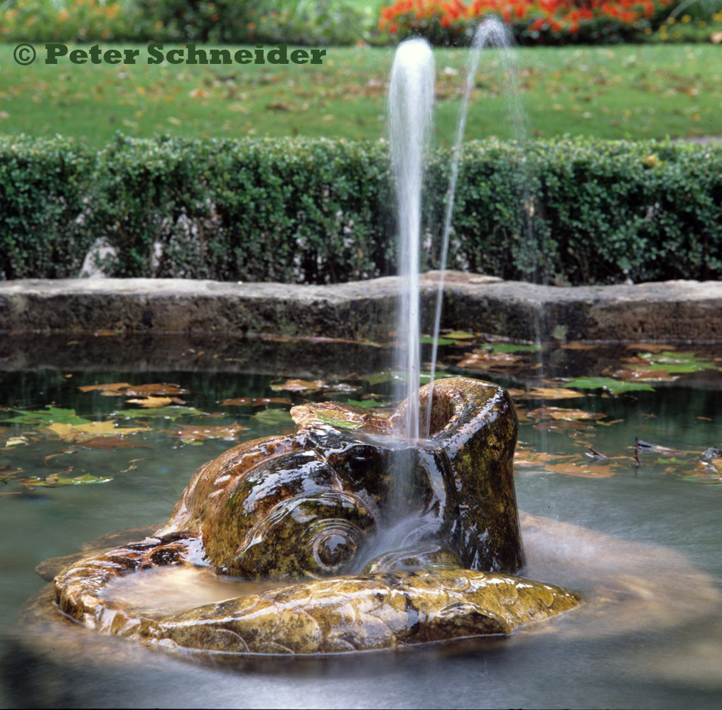 Brunnen im Hofgarten