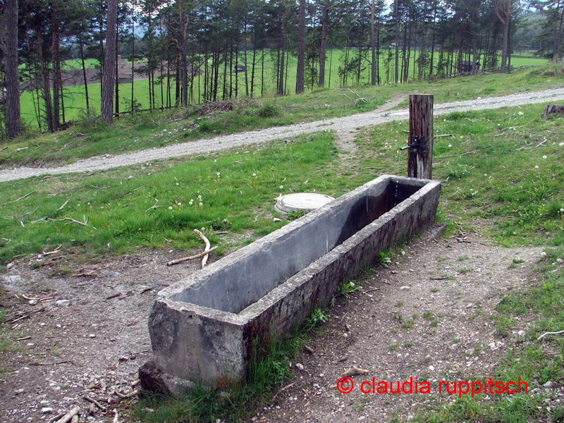 brunnen in wildermieming