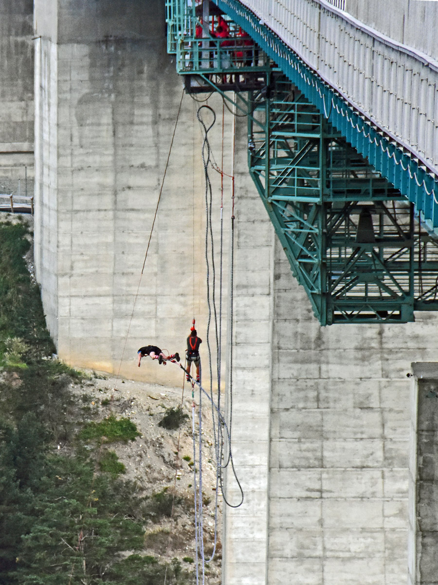 bungee