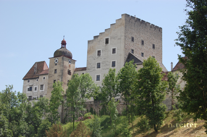 burg clam