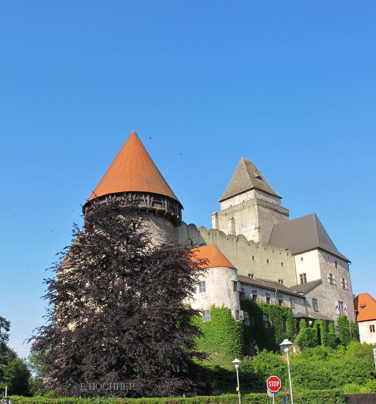 Burg Heidenreichstein