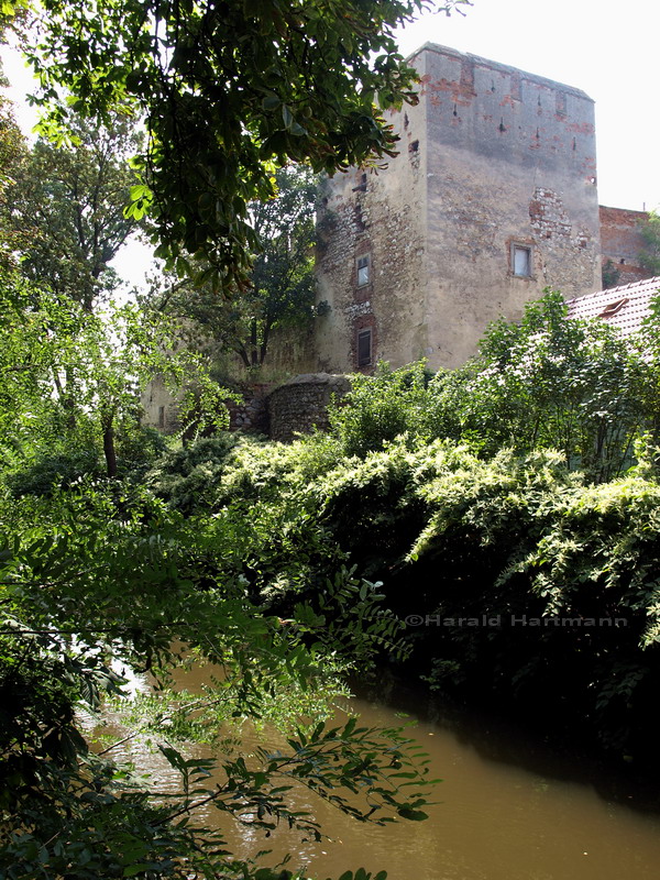 Burg Laa an der Thaya 1