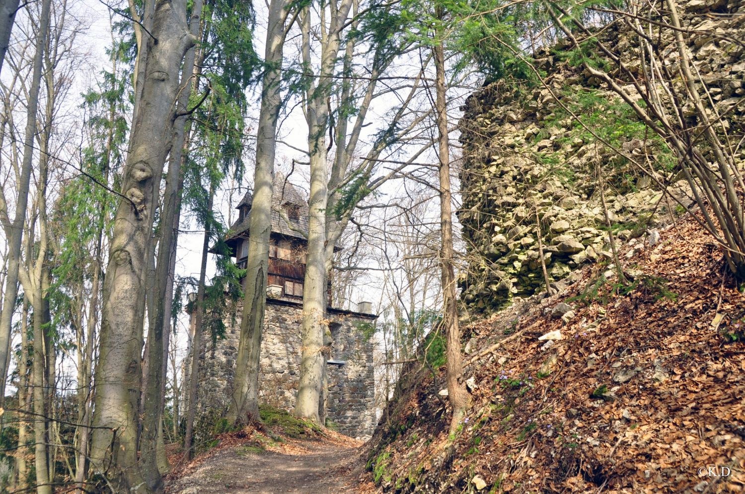 Burg Reifnitz (Kärnten)