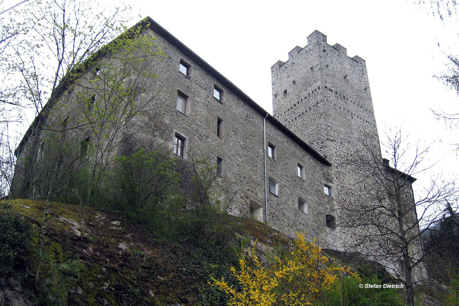 Burg St. Petersberg