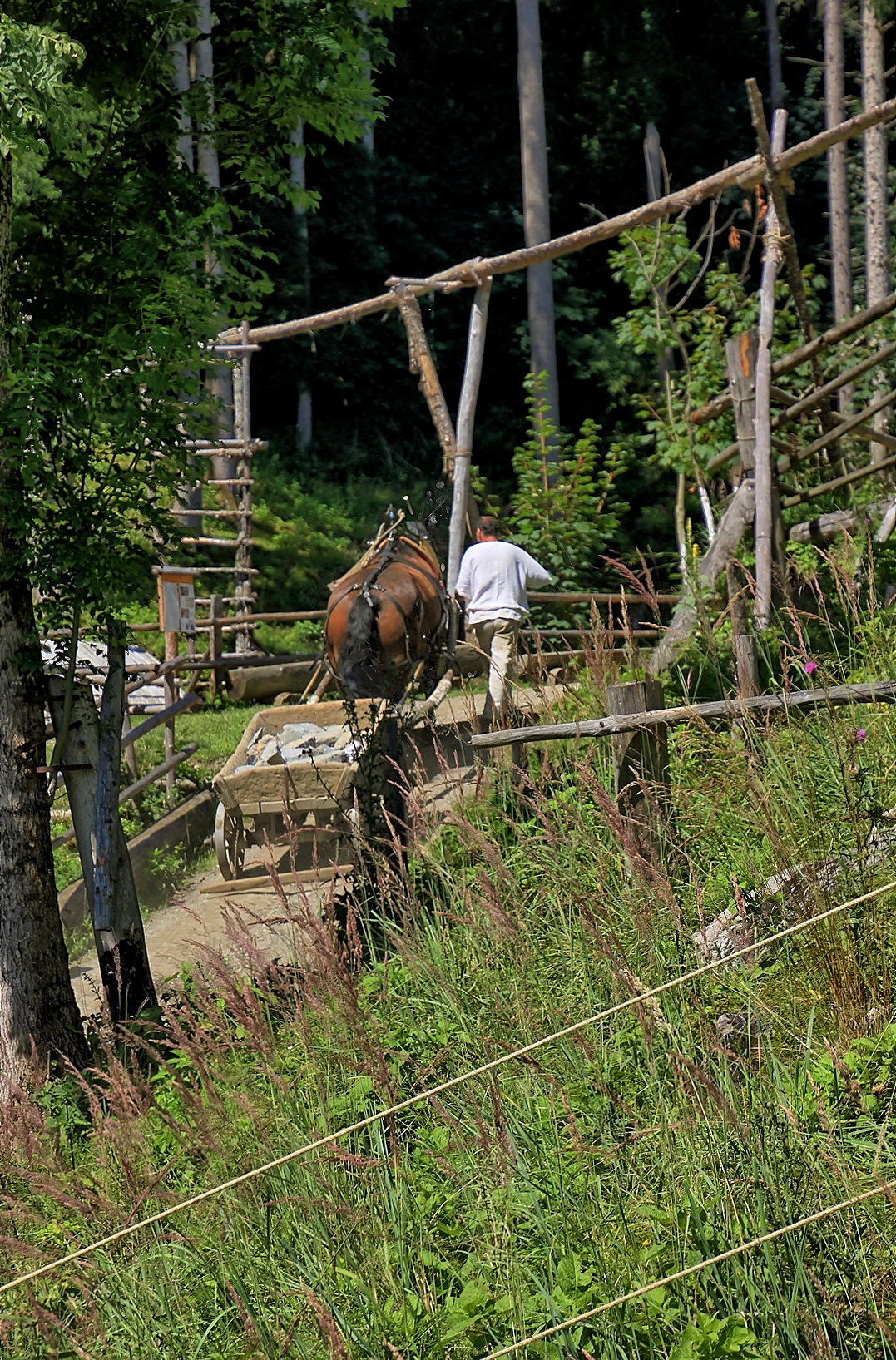 Burgbau Friesach, Kärnten 2023