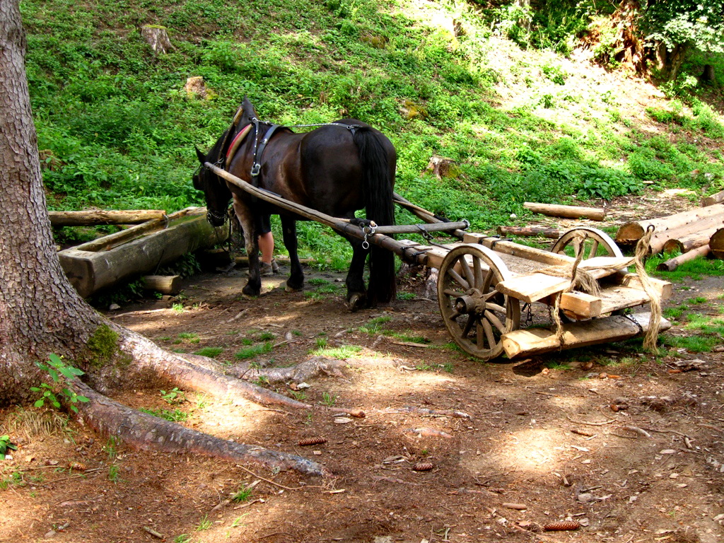 Burgbau-Transportmittel -  Friesach/Kärnten