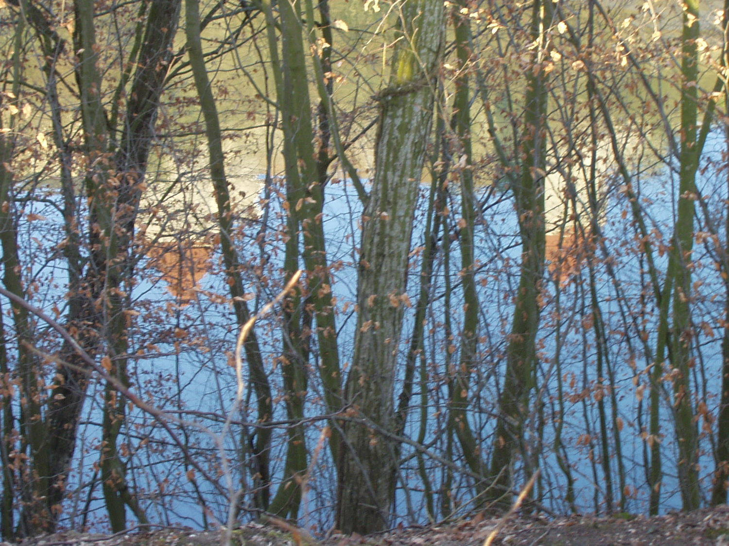 Burghausen2008_amWöhrsee