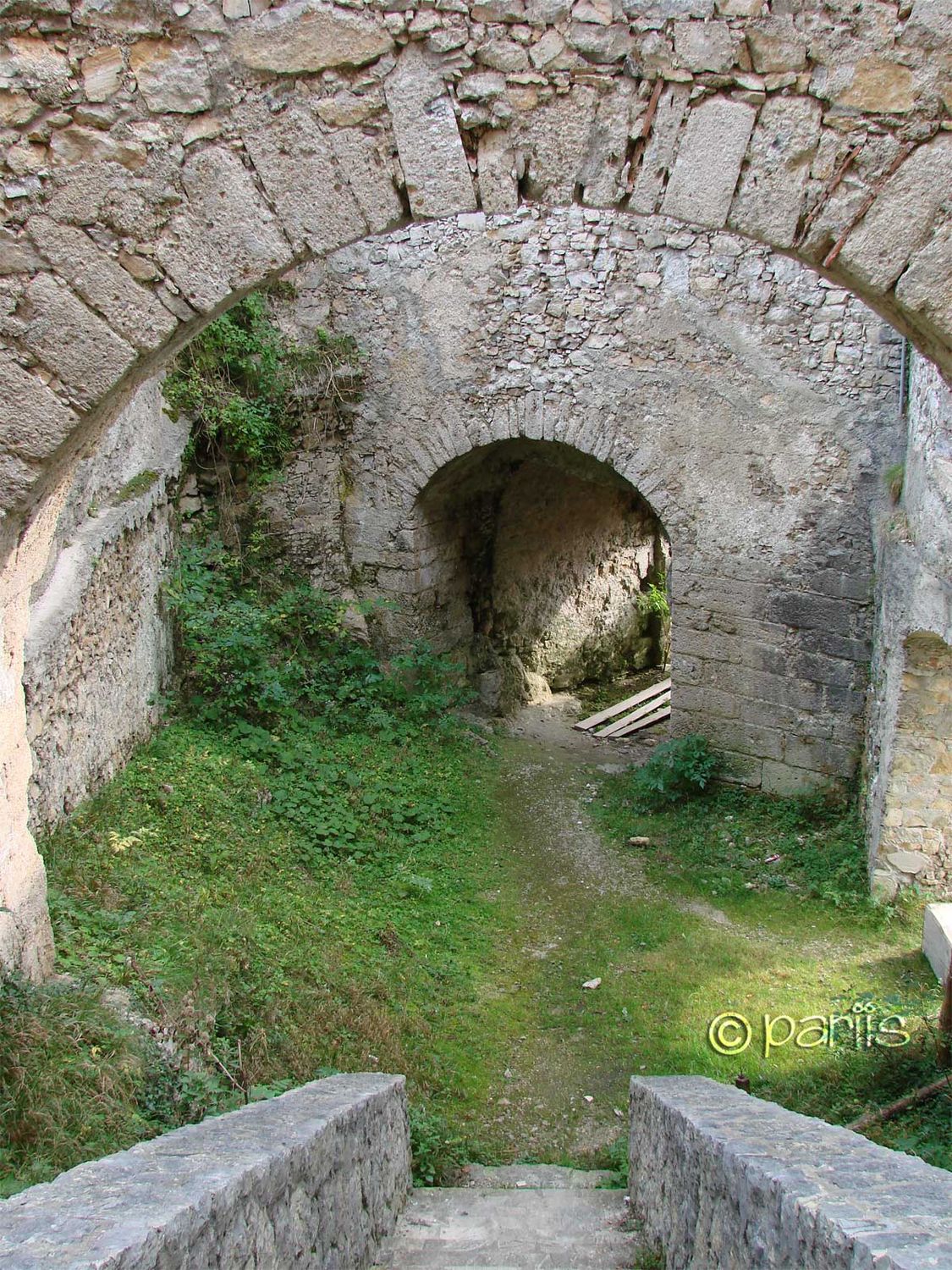 Burgruine Gallenstein