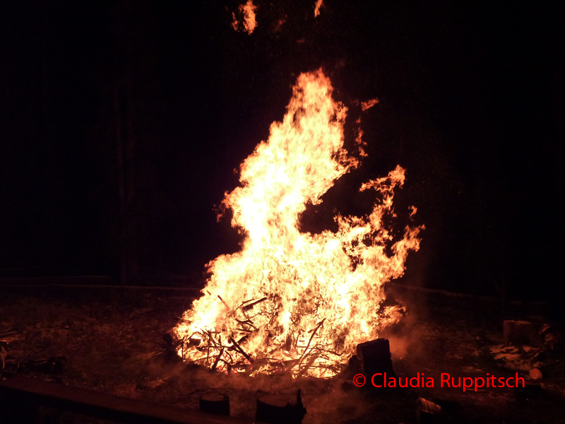 Burning Logs im Cathedral Provincial Park, BC, Kanada