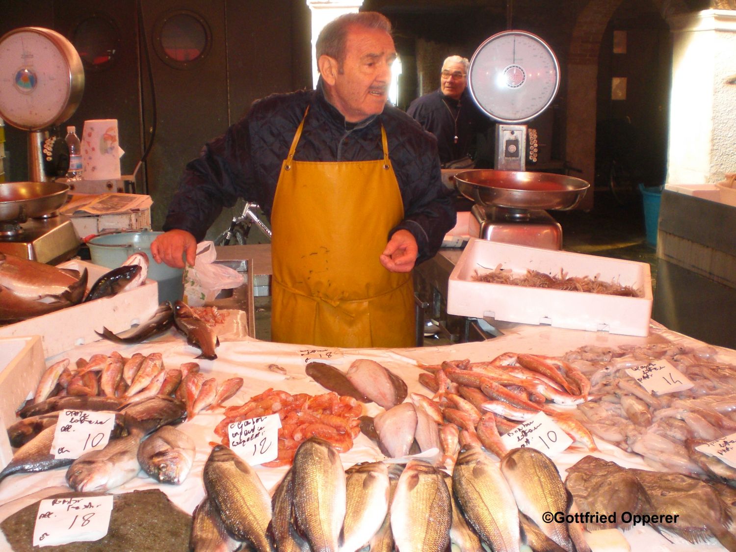 Chioggia