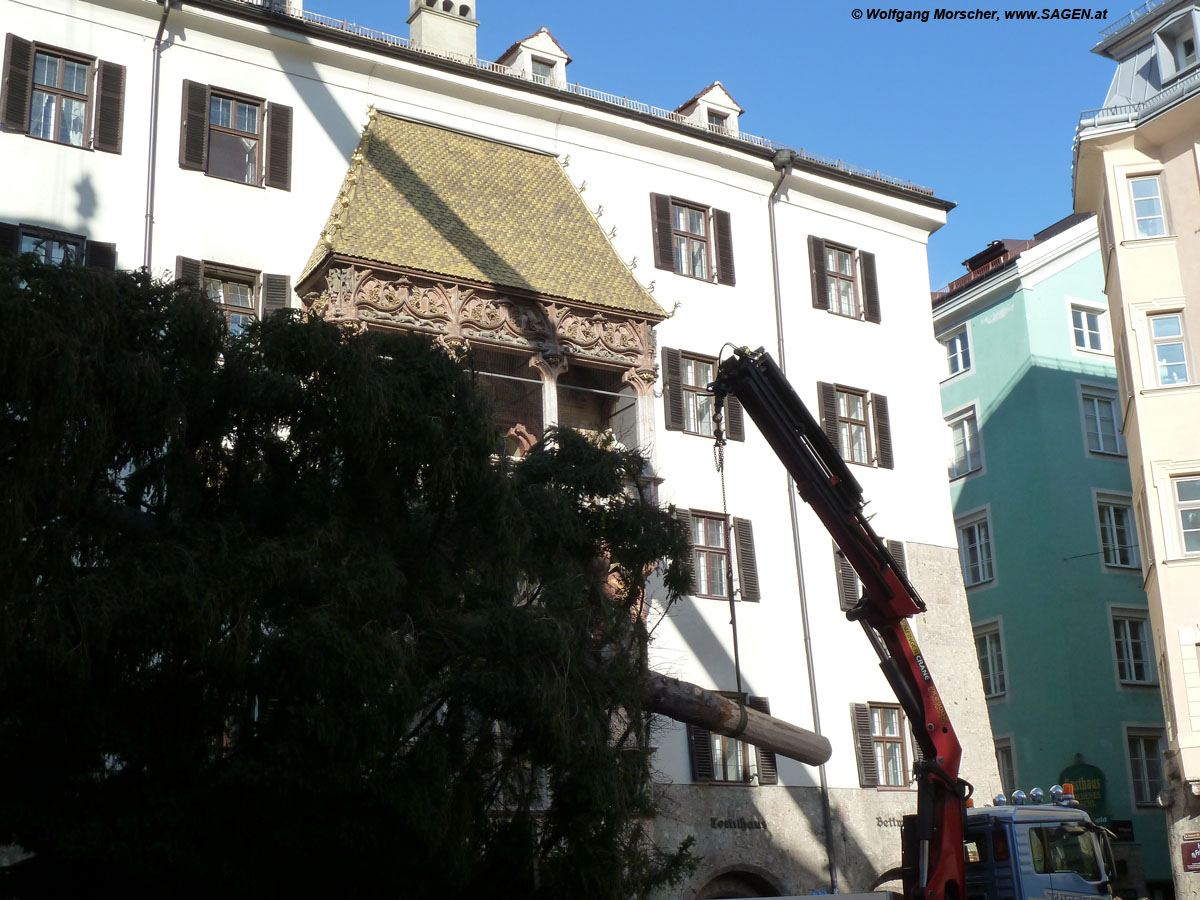 Christbaum Innsbruck zu Allerseelen