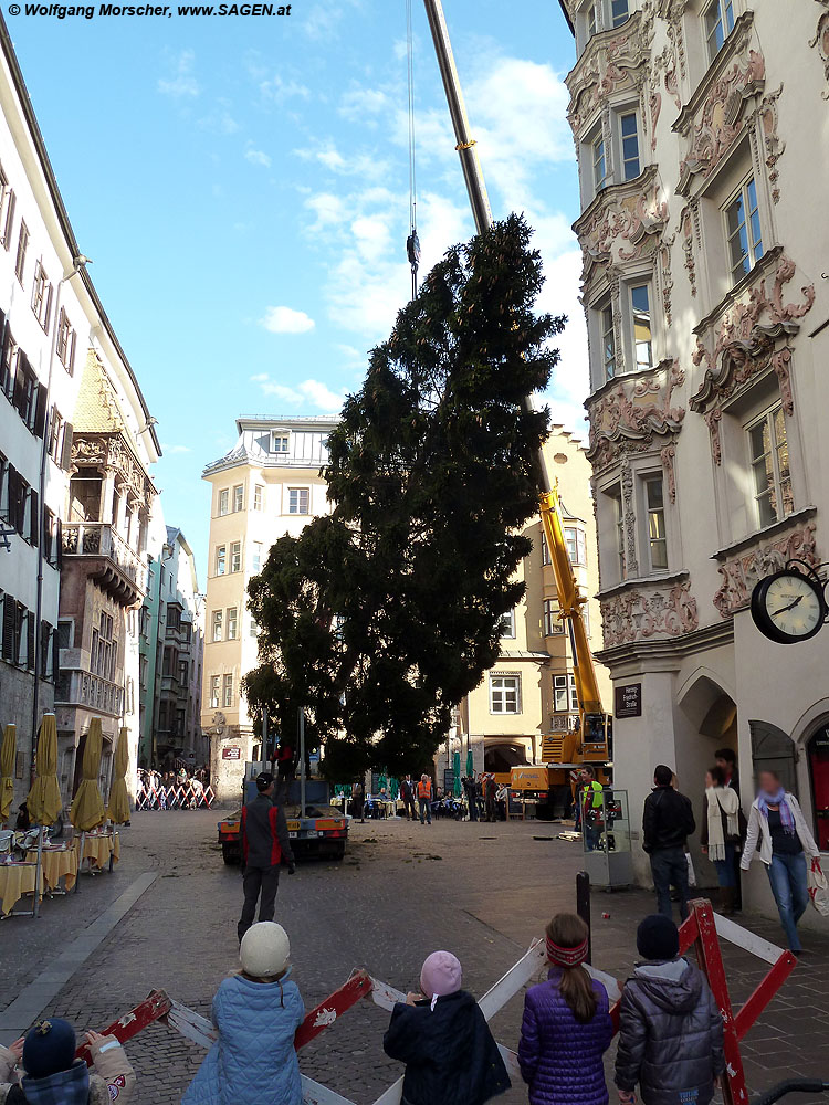 Christbaum Innsbruck zu Allerseelen