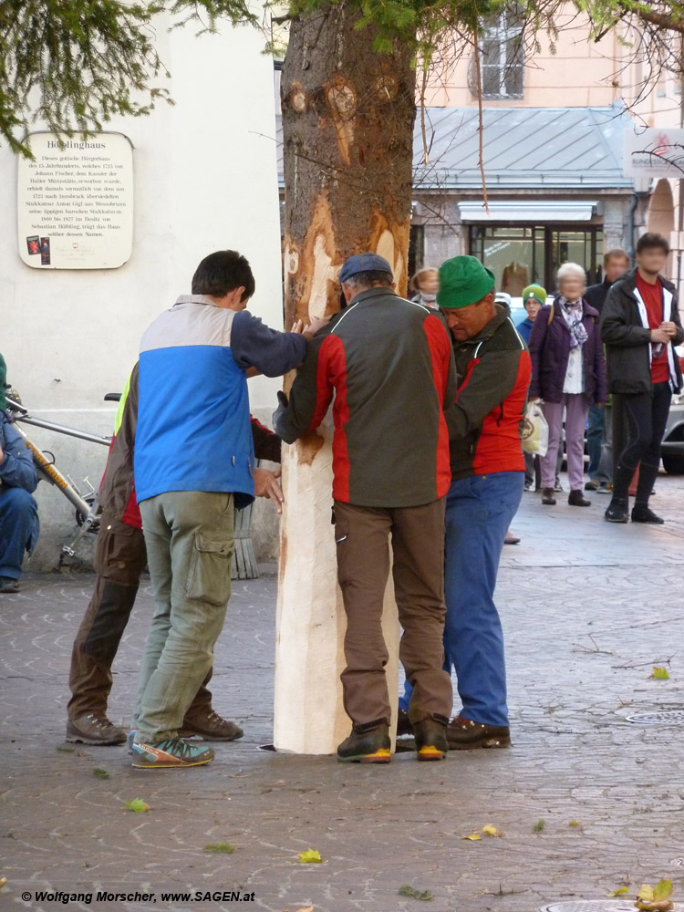 Christbaum Innsbruck zu Allerseelen