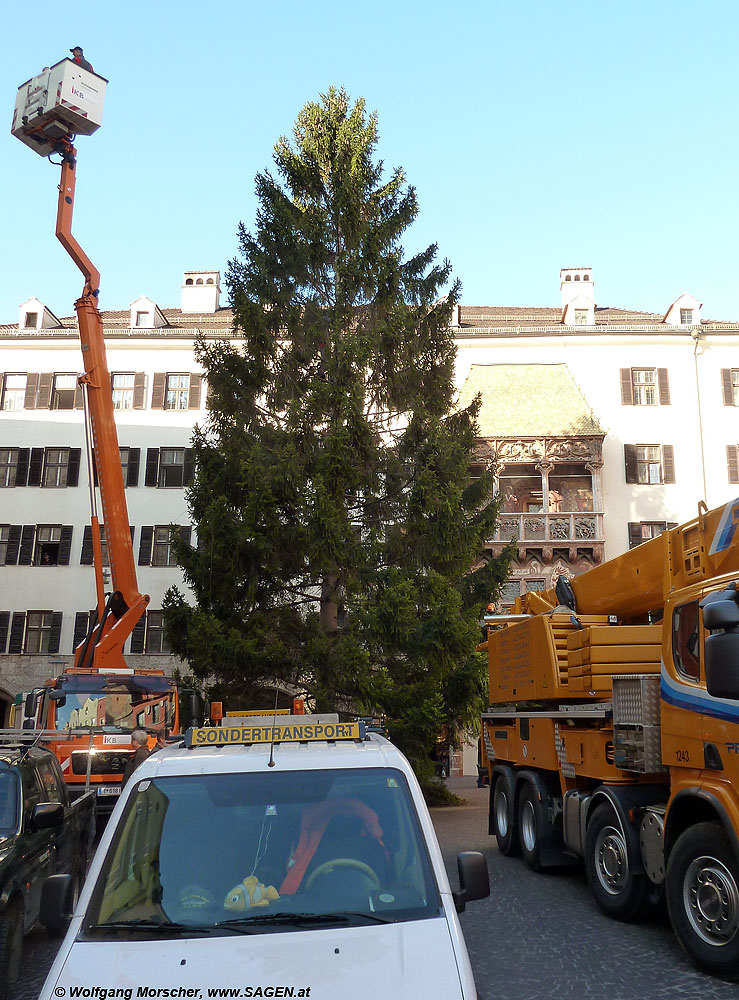 Christbaum Innsbruck