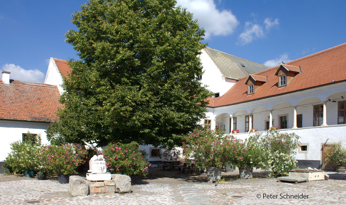 Cselley-Mühle