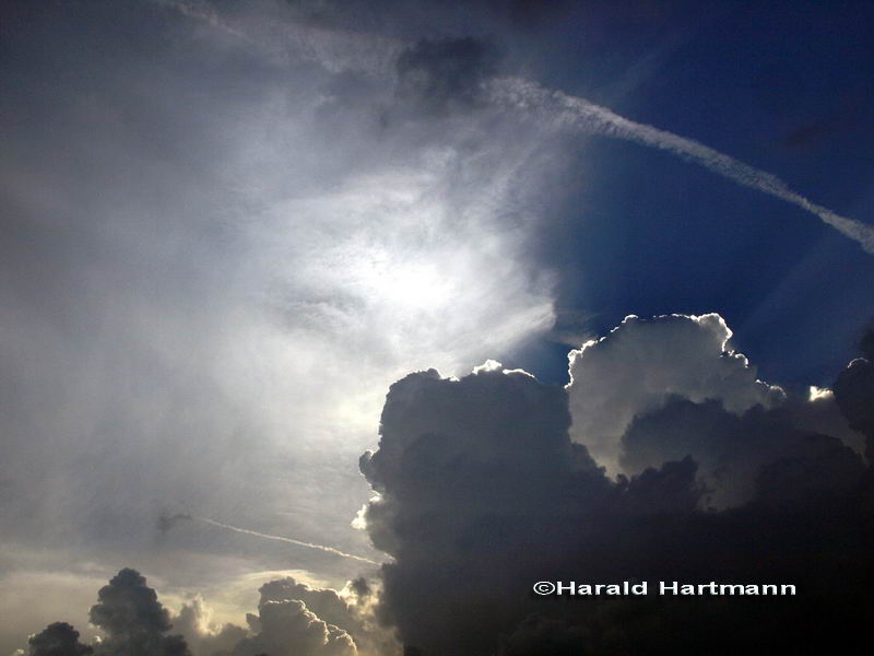 Cumulus