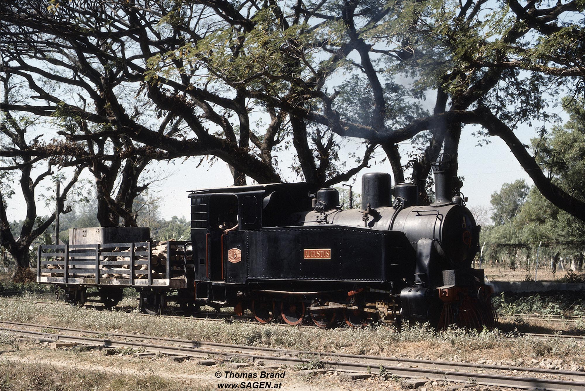 Dampflokomotive Cepu Java Indonesien