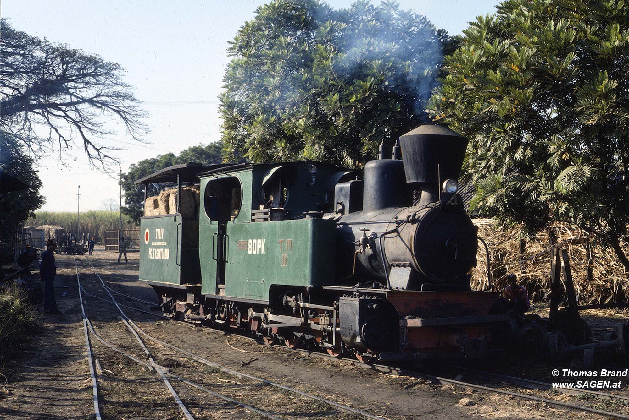 Dampflokomotive Tasik Madu