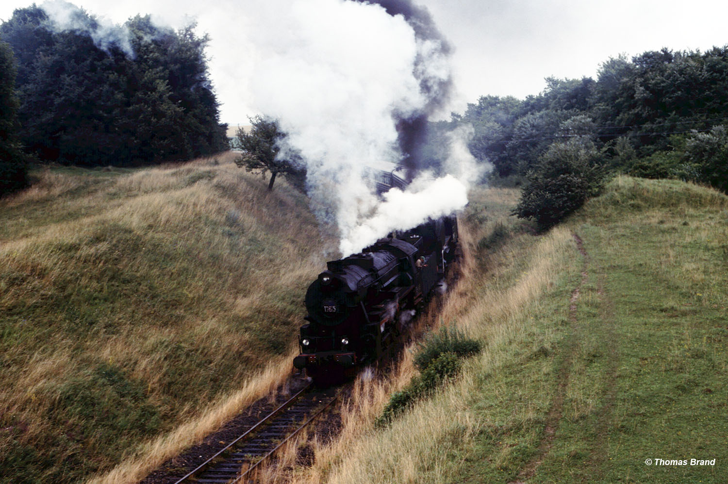 Dampflokomotive Ukraine