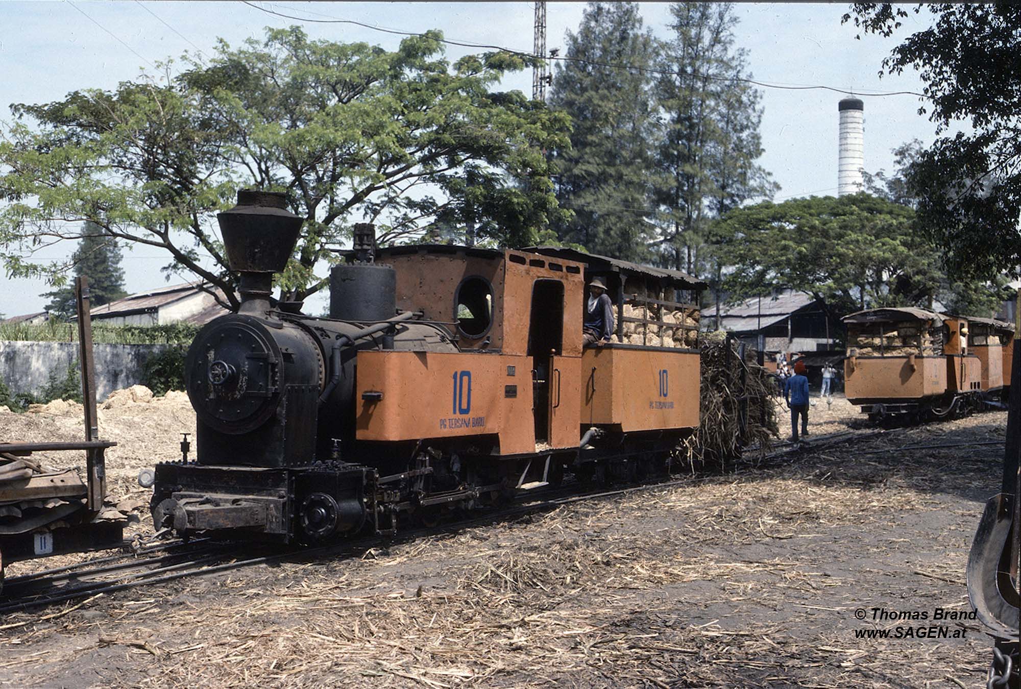 Dampflokomotive Zuckerrohrbahn Tersana Baru, Indonesien