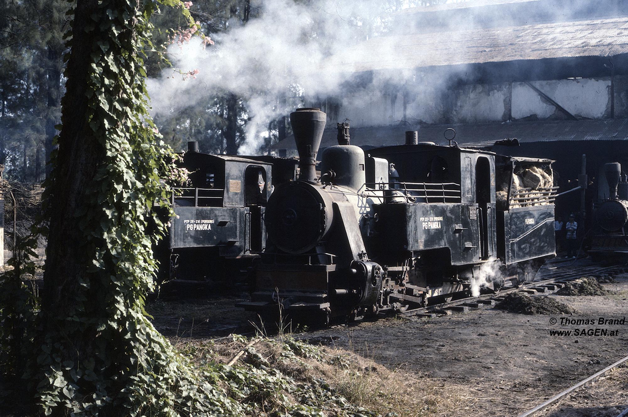 Dampflokomotiven Zuckerrohrbahn Pangka, Indonesien