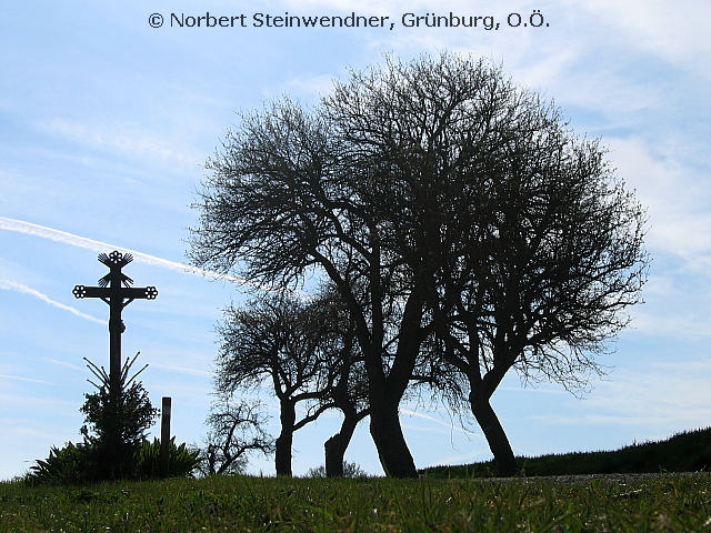 Das Kreuz im Licht