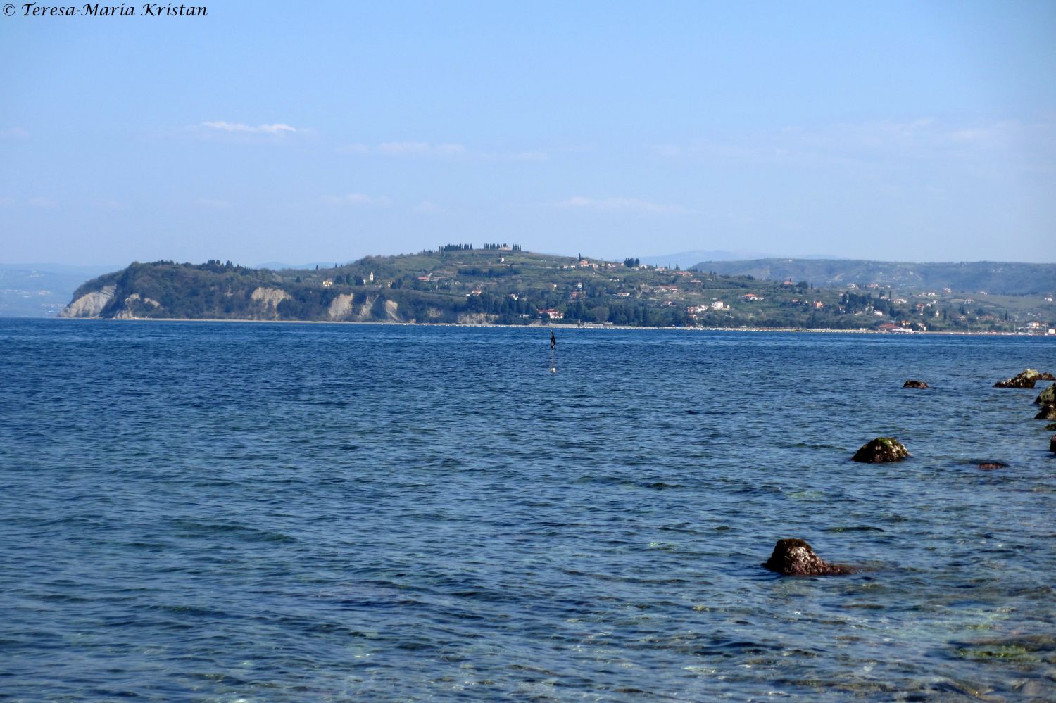 Das Meer bei Piran