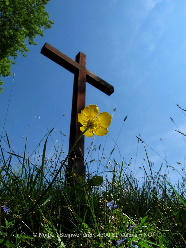 Das Rote Kreuz in Schlögenleiten