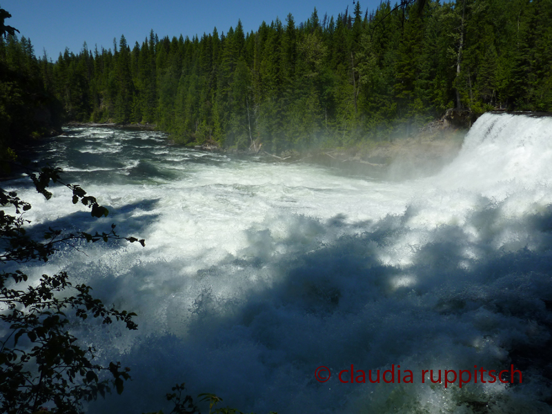 Dawson Falls, Wells Gray Park (BC, Canada)