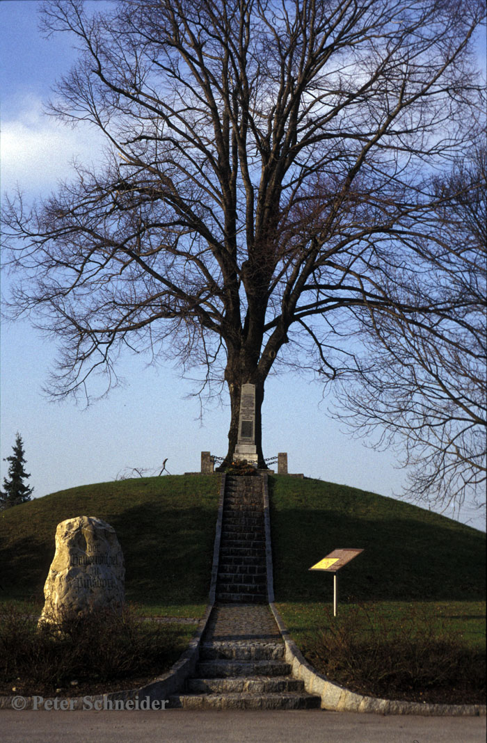 Der Bauernhügel in Pinsdorf