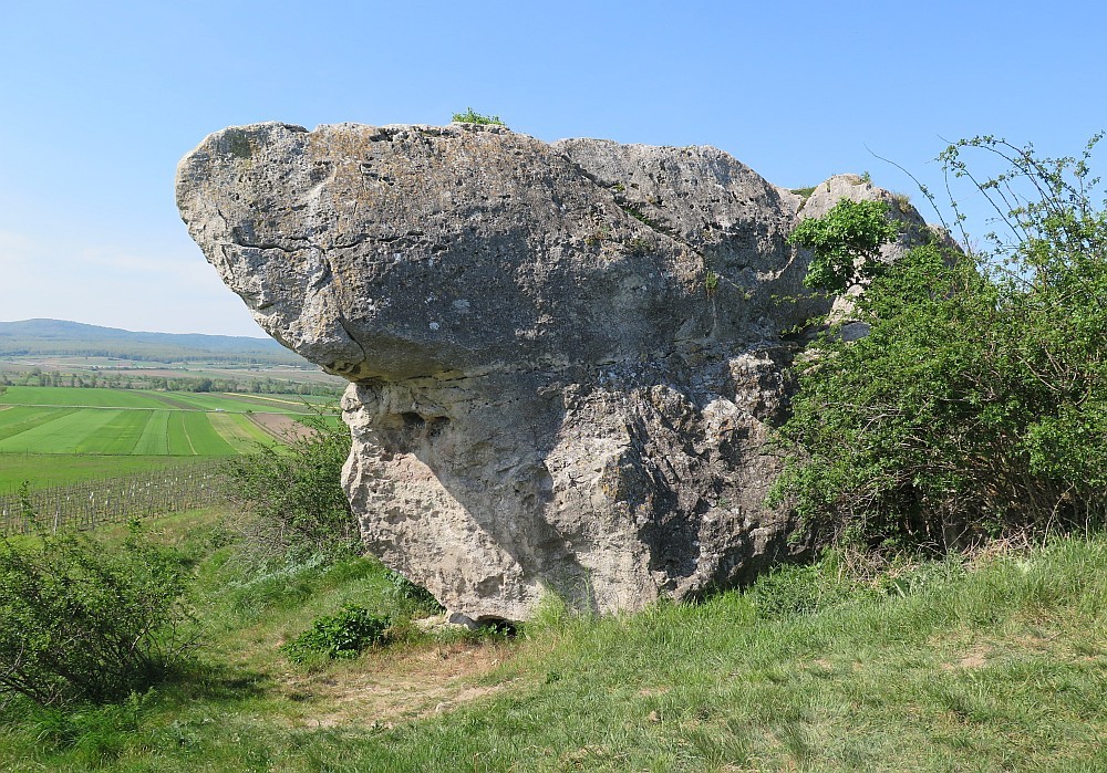 der Hölzlstein