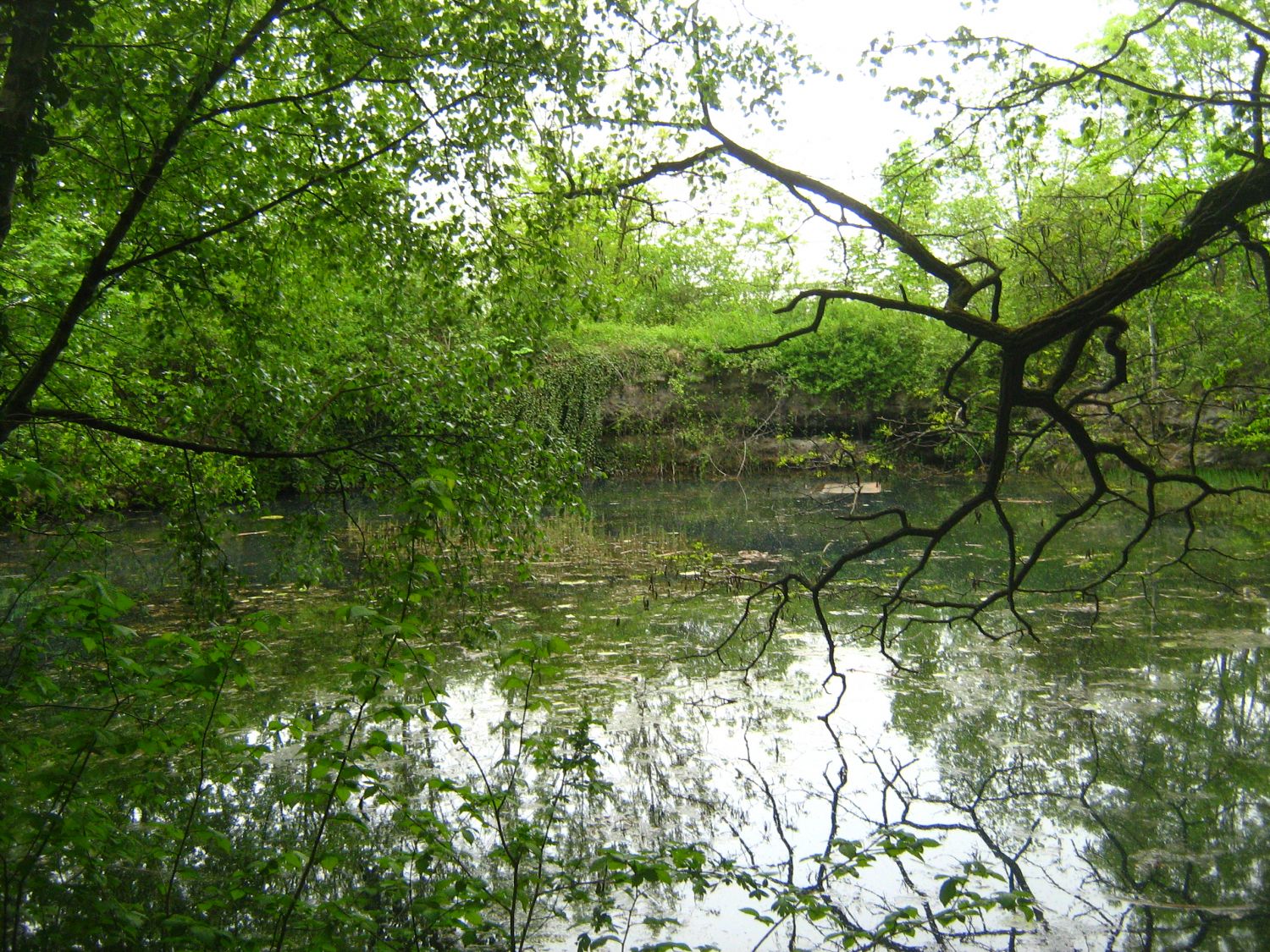 Der "Krater" bei Bad Nenndorf