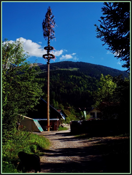 Der Maibaum