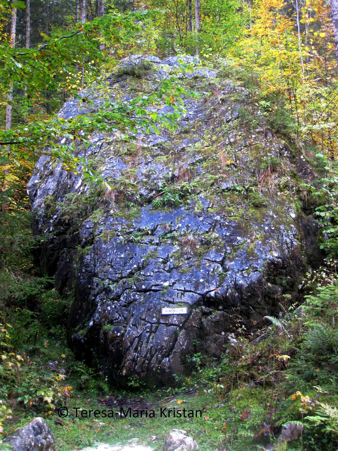 Der Runenstein bei Hallstatt - steinerner Zeuge