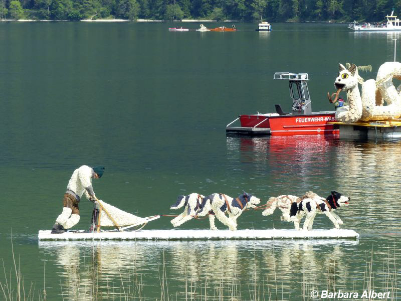 Der Schlittenhundeführer und seine Huskys - Narzissenfest Bad Aussee