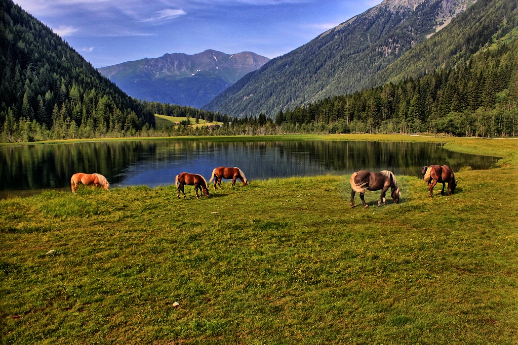 Der Stappitzer See