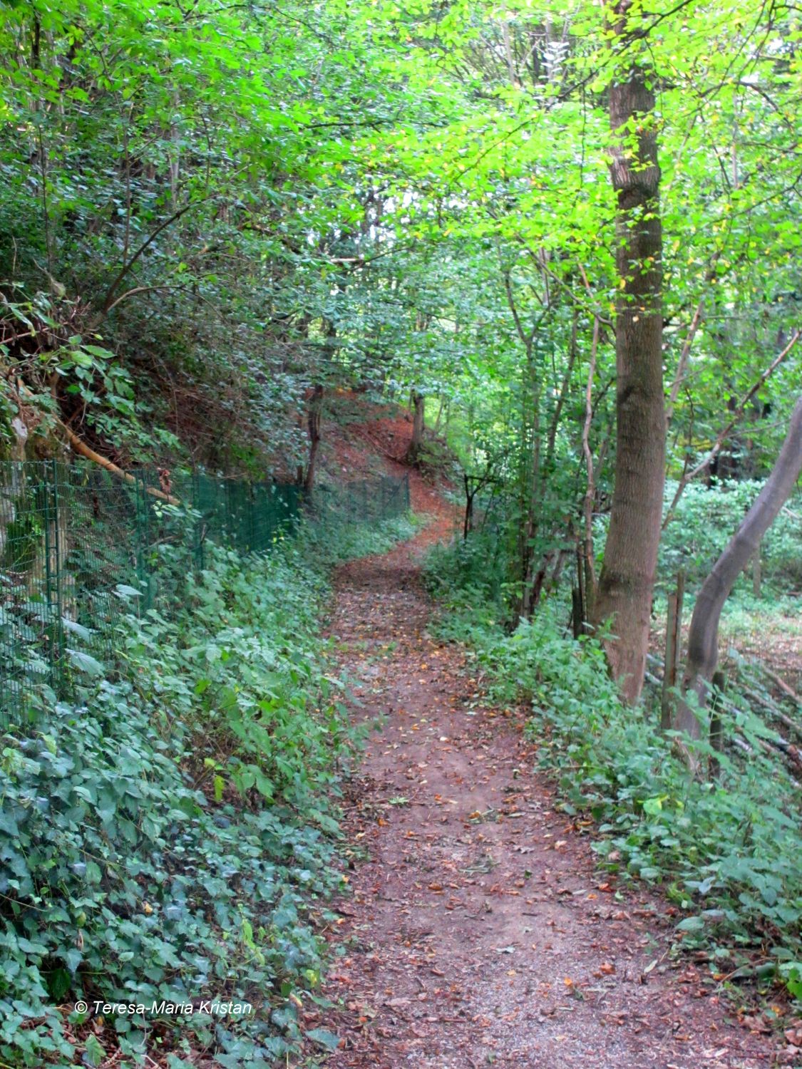 Der Weg zur Andritz-Ursprung Quelle