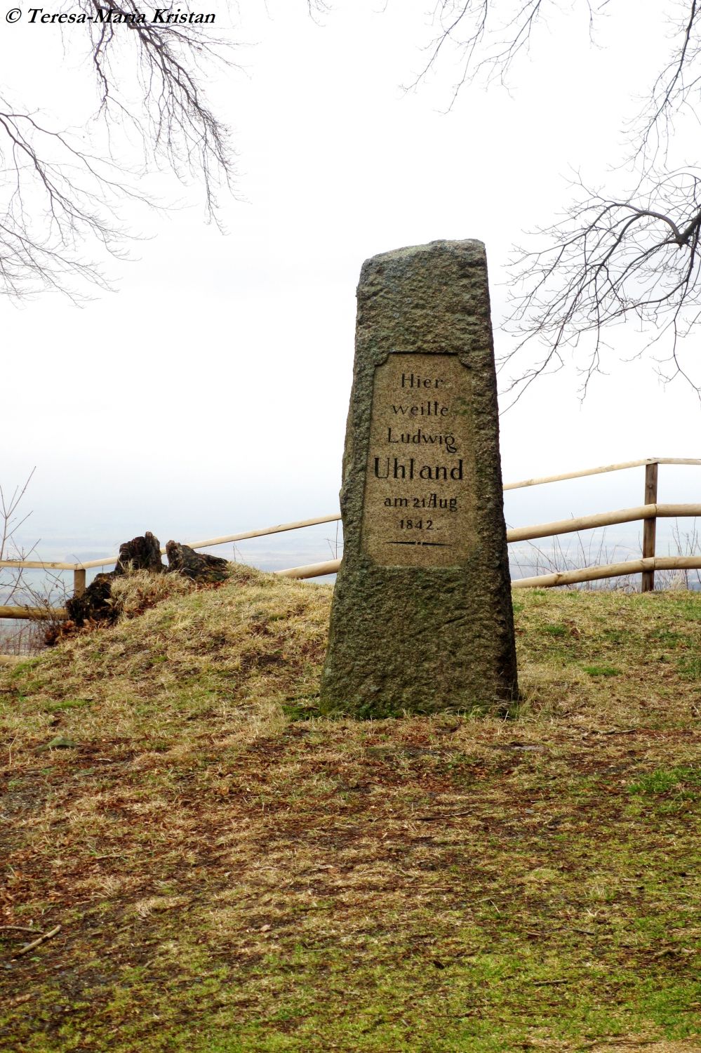 Dichterstein im Harz von Ludwig Uhland