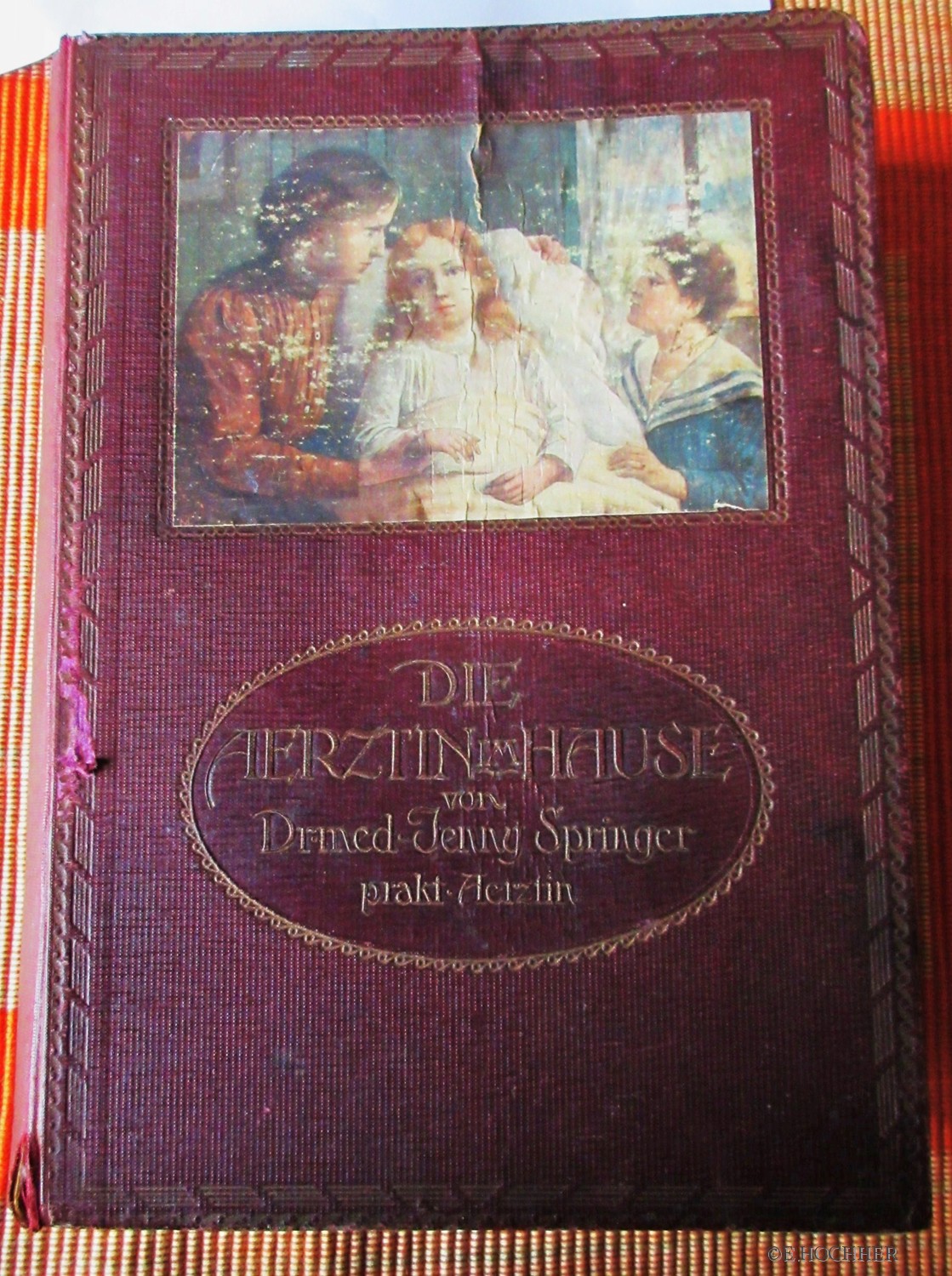 Die Aerztin im Hause