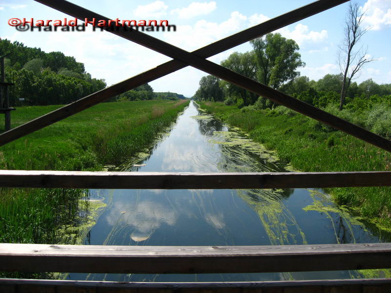 Die Brücke von Andau 2/3