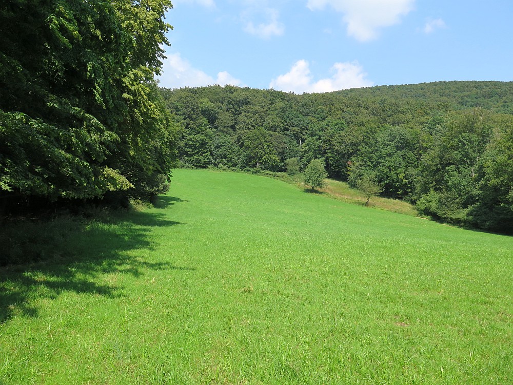 die Schlachtwiese bei Klausen-Leopoldsdorf