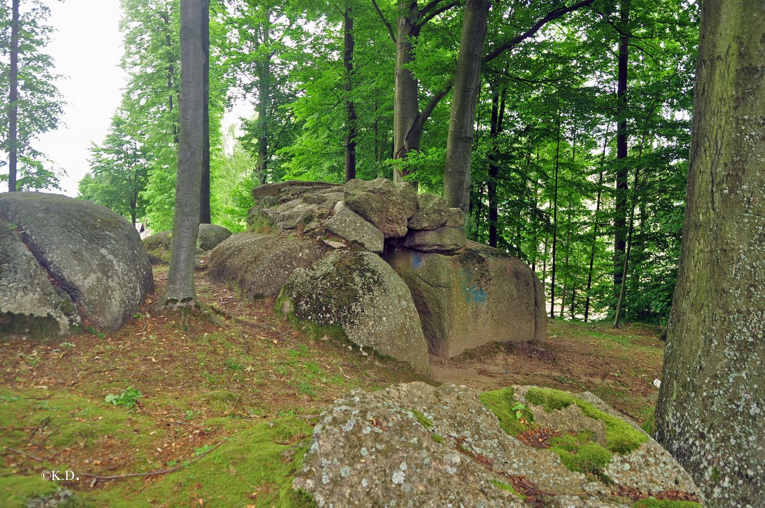 Dolmengrab in Schrems (Niederösterreich)