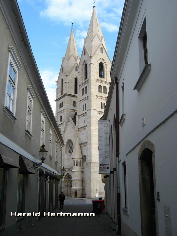 Dom Wiener Neustadt