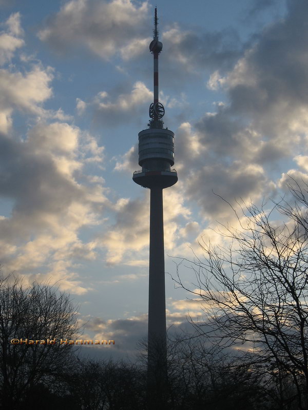 Donauturm am Morgen