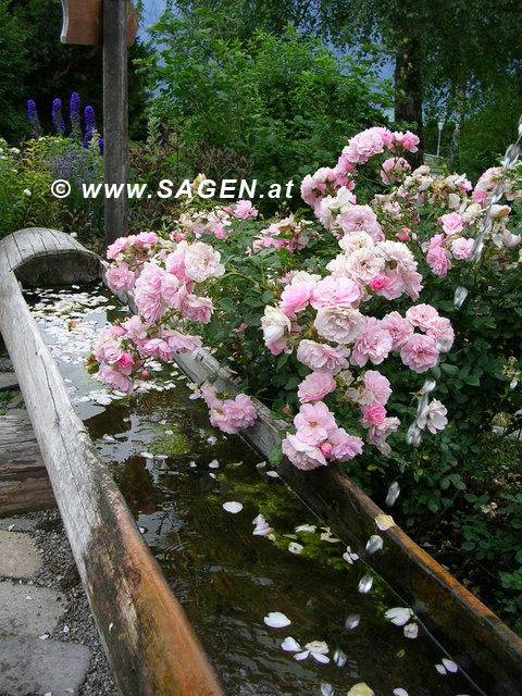 Dorfbrunnen in Reith bei Seefeld, Tirol