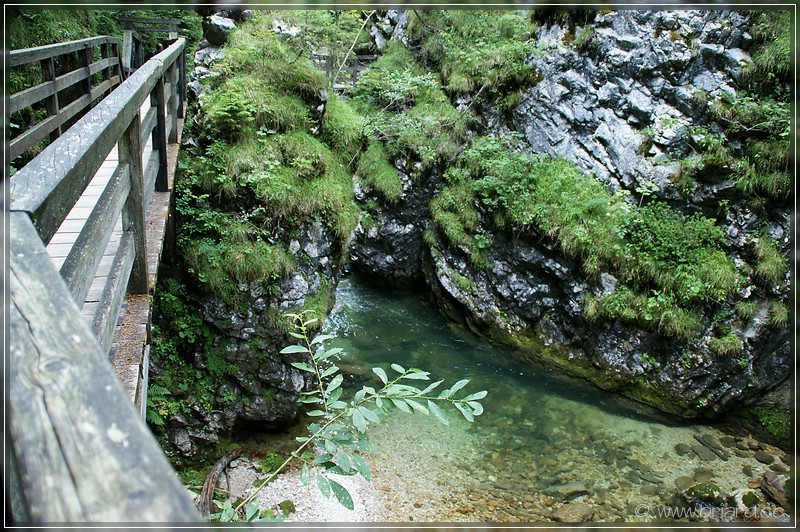 Durch die Schlucht des Mendlingbachs