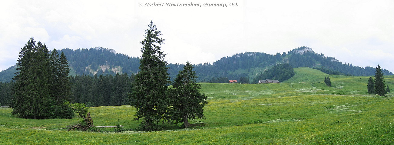 Ebenforst Alm