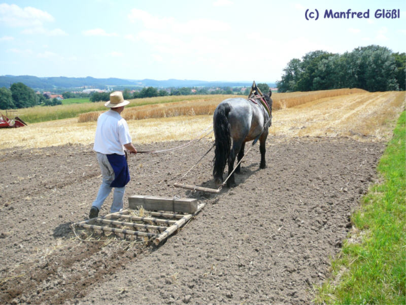 Eggen mit Pferd