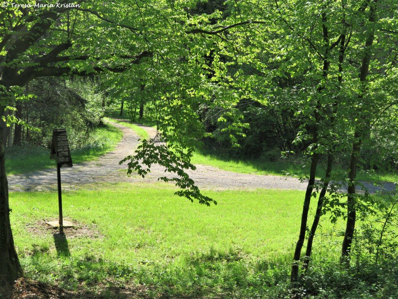 Ehemalige Hinrichtungsstätte Feliferhof